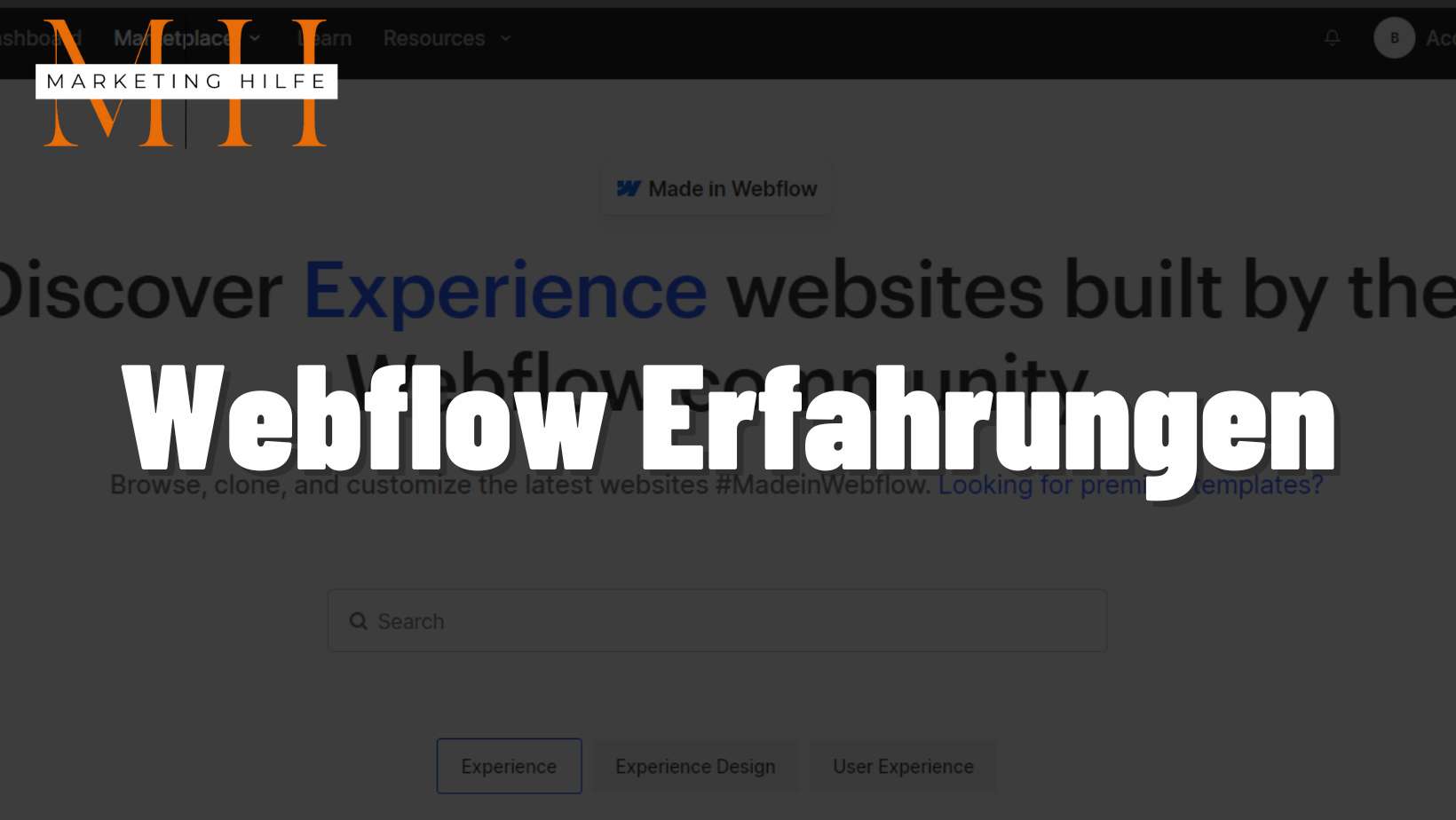 webflow erfahrungen