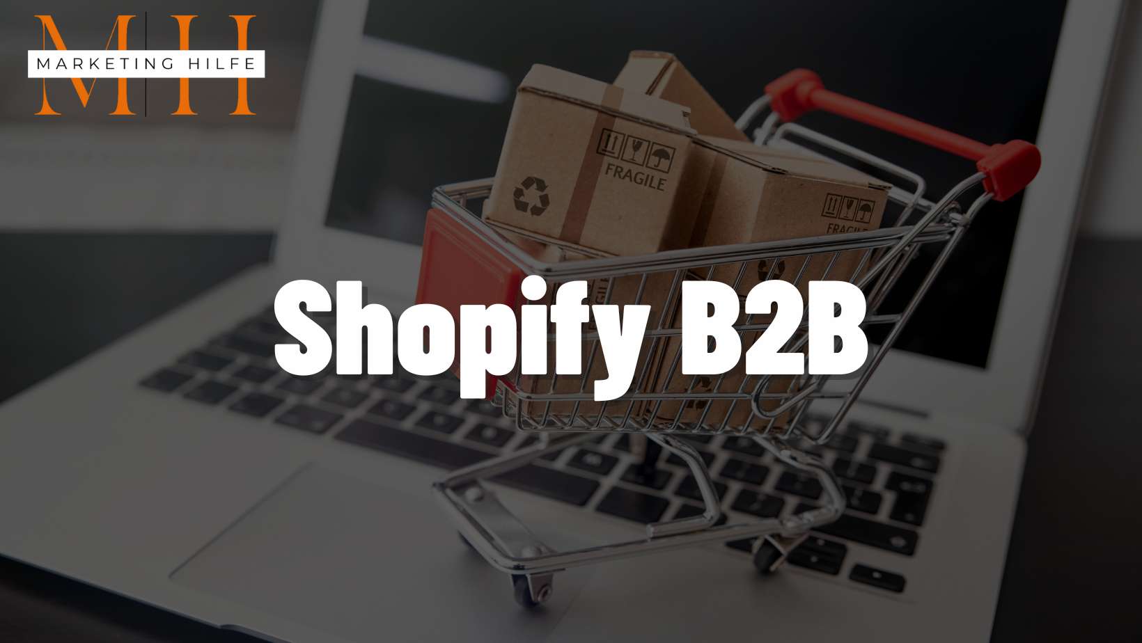 shopify b2b