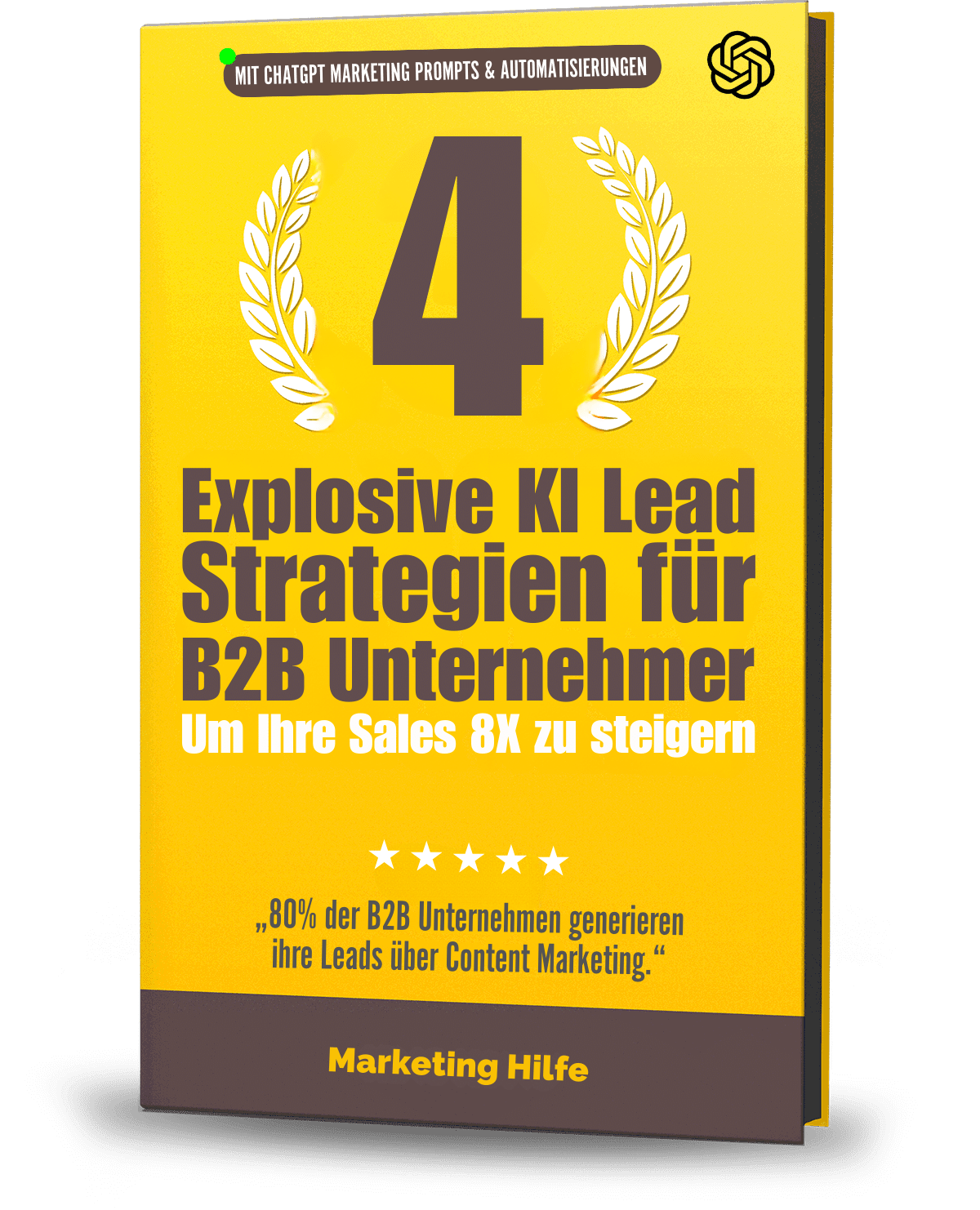 Top 4 B2B Leadstrategien von Marketing Hilfe